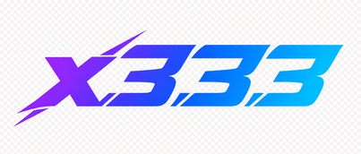 x333
